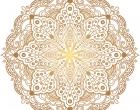 Web